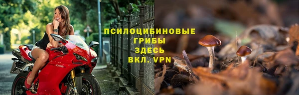 ГАЛЛЮЦИНОГЕННЫЕ ГРИБЫ Армянск