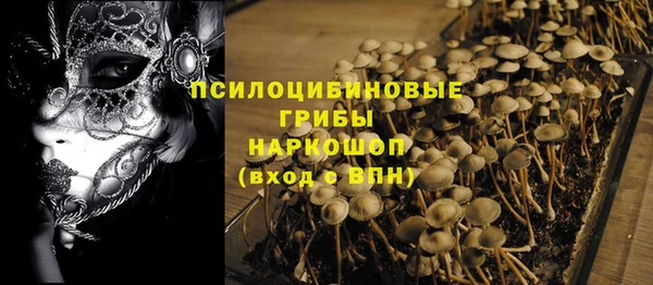 ГАЛЛЮЦИНОГЕННЫЕ ГРИБЫ Армянск