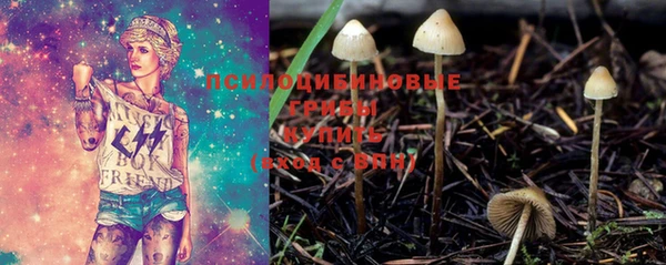 индика Верхнеуральск