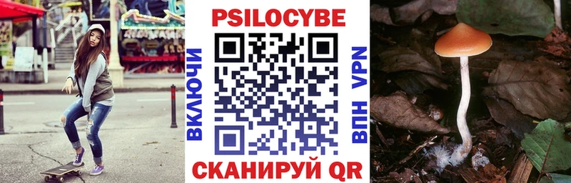 Галлюциногенные грибы Psilocybine cubensis  что такое наркотик  Нязепетровск 